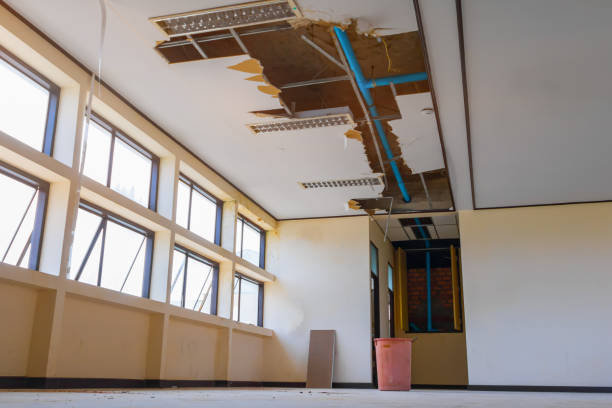 Best Water damage cleanup near me  in Lawrenceburg, KY