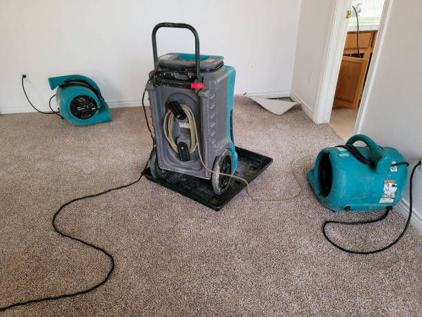 Best Emergency water damage restoration  in Lawrenceburg, KY