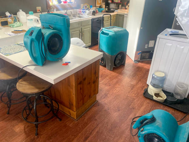 Best Professional water damage repair  in Lawrenceburg, KY