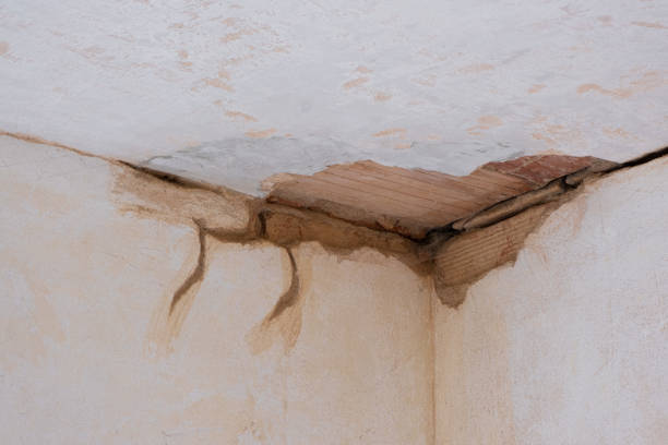Best Sewage cleanup and water damage restoration  in Lawrenceburg, KY