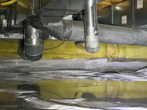 Best Local water damage restoration  in Lawrenceburg, KY