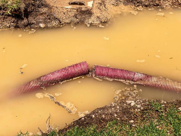 Best Water damage cleanup near me  in Lawrenceburg, KY