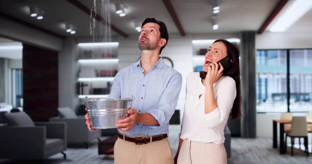Best Water damage restoration company  in Lawrenceburg, KY