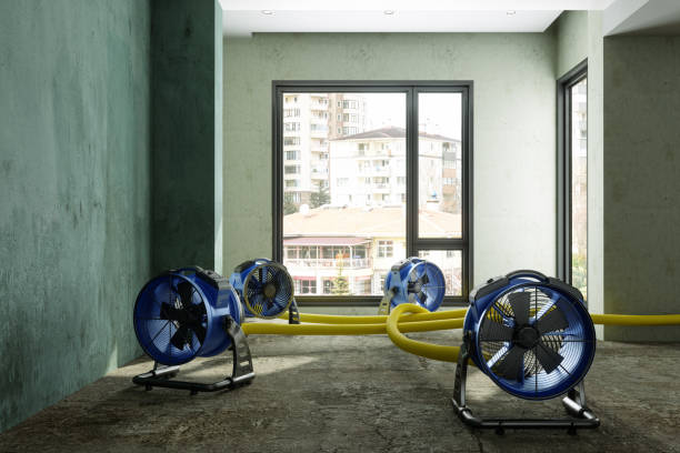 Best Carpet water damage restoration  in Lawrenceburg, KY